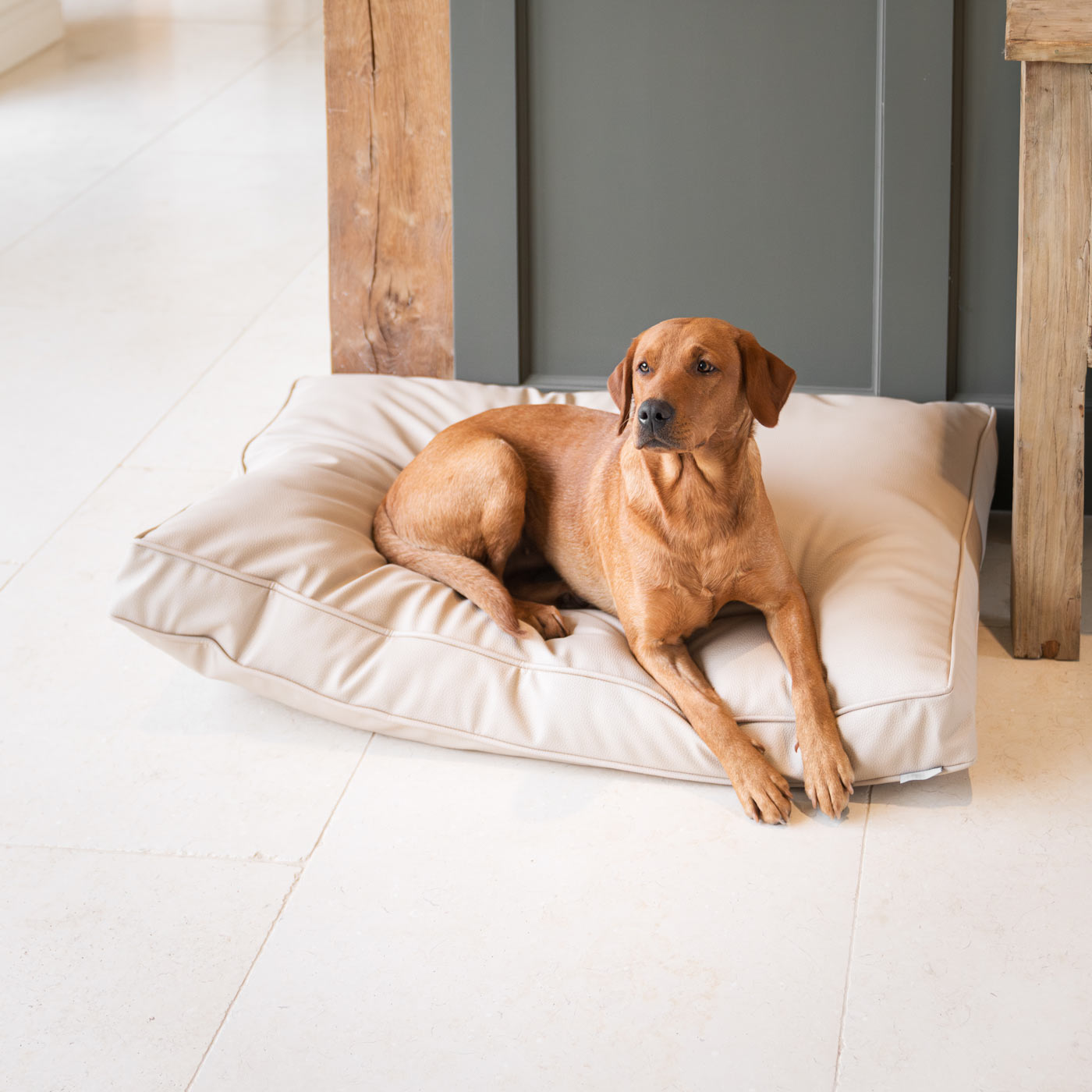 Dog Cushion With Removable Cover in Rhino Tough Sand Faux Leather by Lords & Labradors