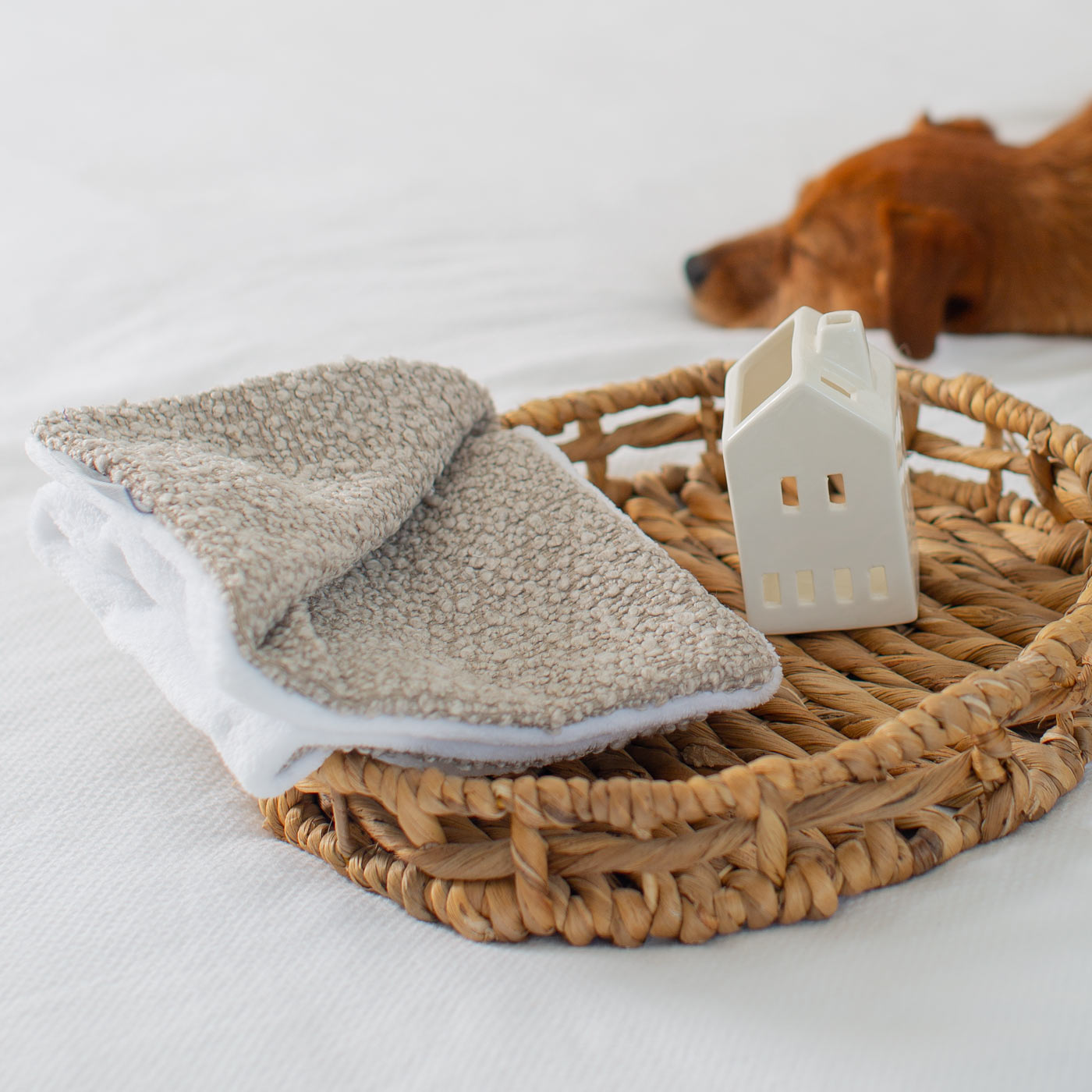Puppy Scent Blanket in Boucl by Lords & Labradors
