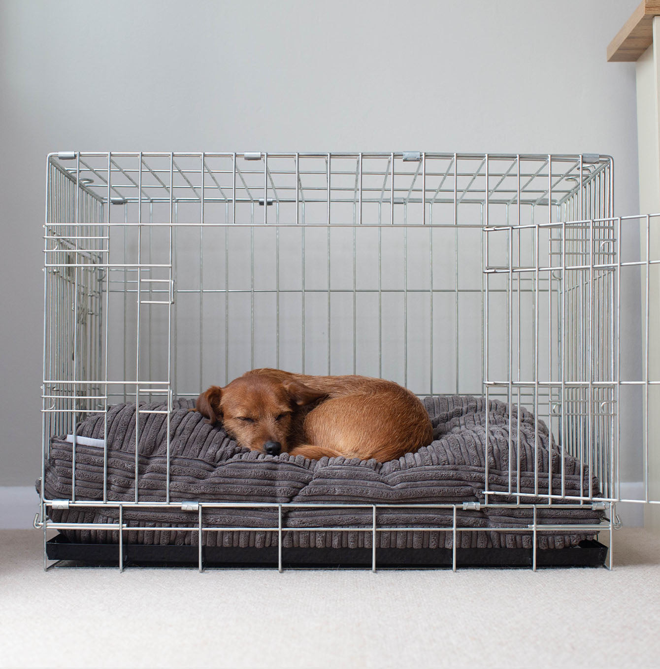 Dog Cushion in Dark Grey Essentials Plush by Lords & Labradors