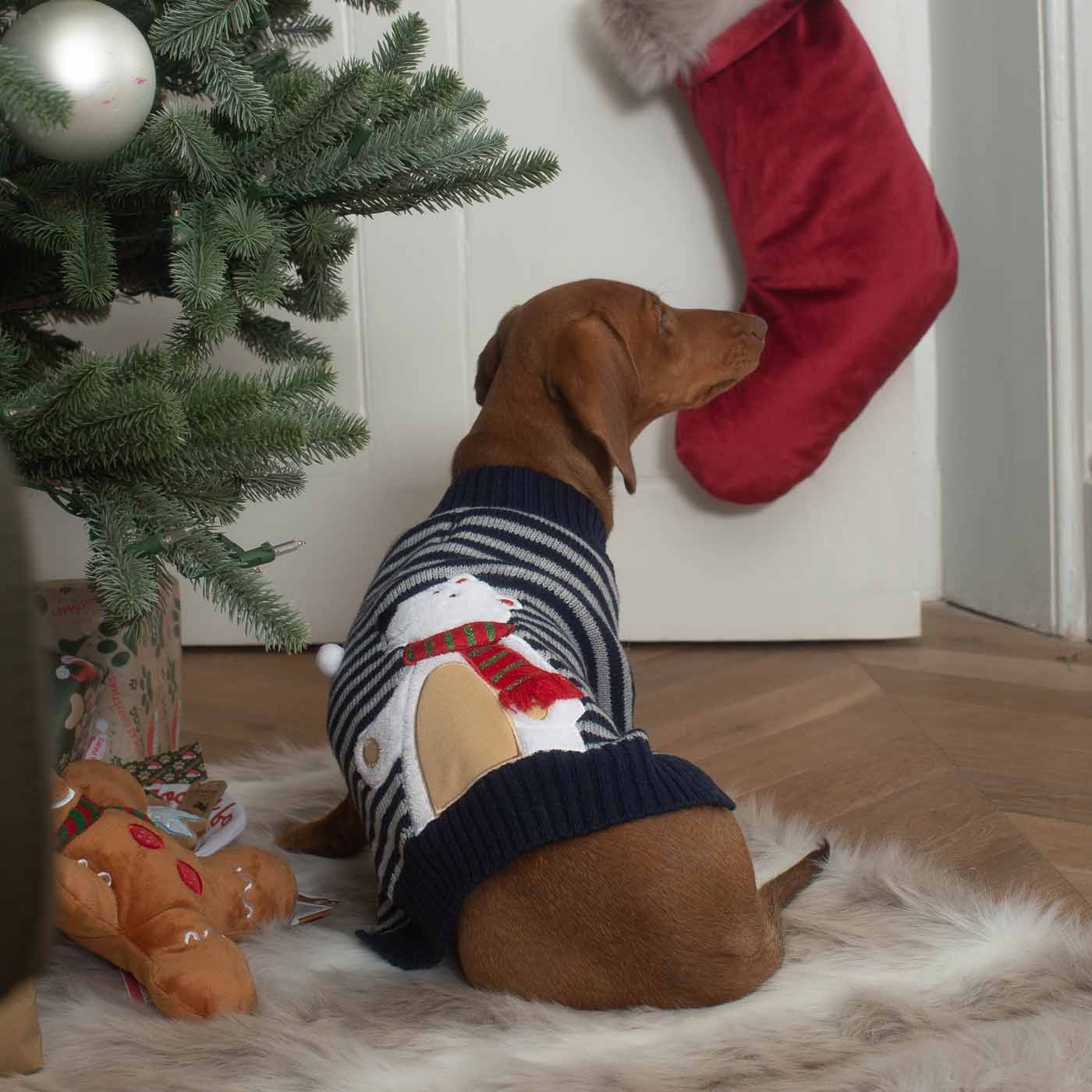 Stripey Polar Brrr Dog Jumper