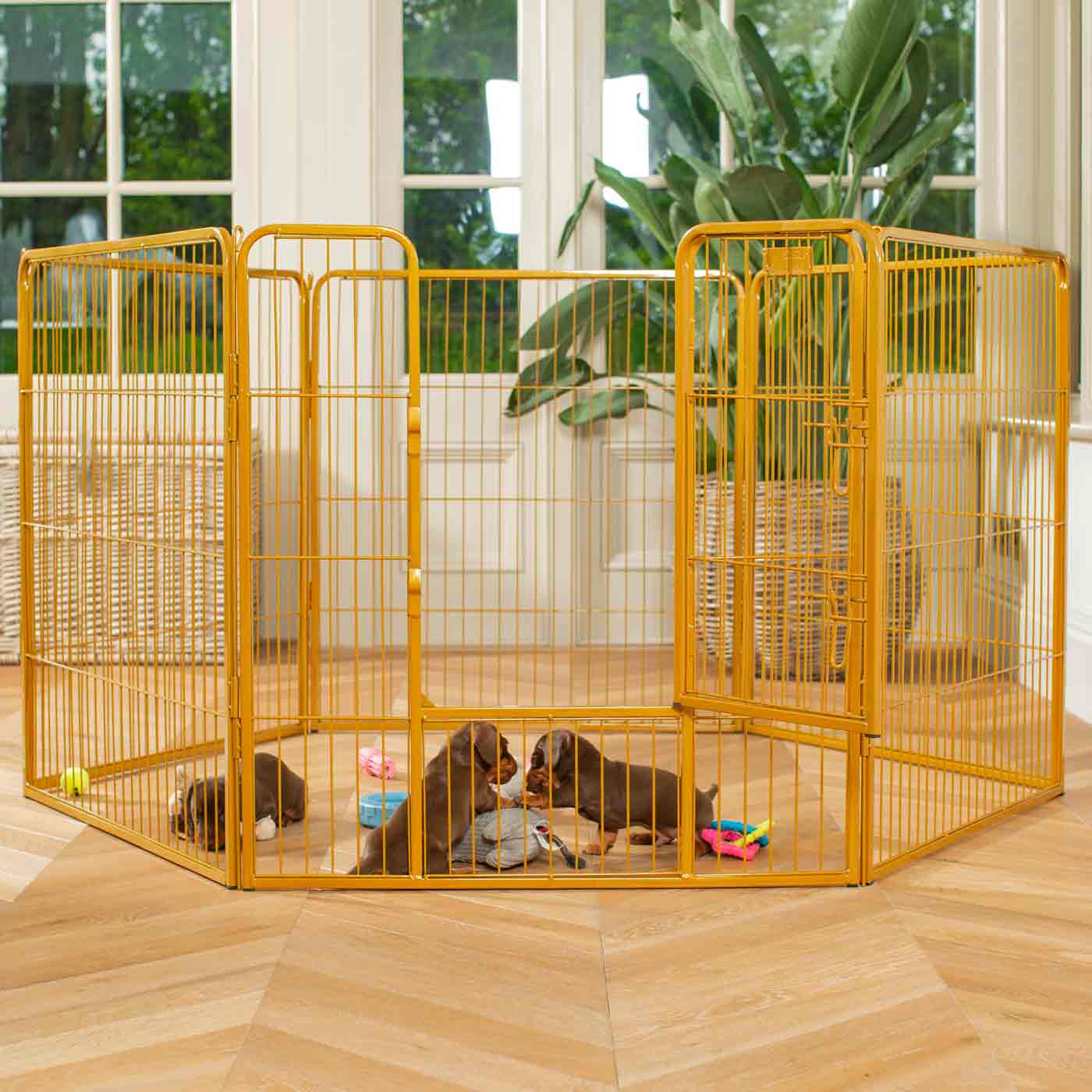 Puppy Play Pen & Crate Extension in Gold by Lords & Labradors
